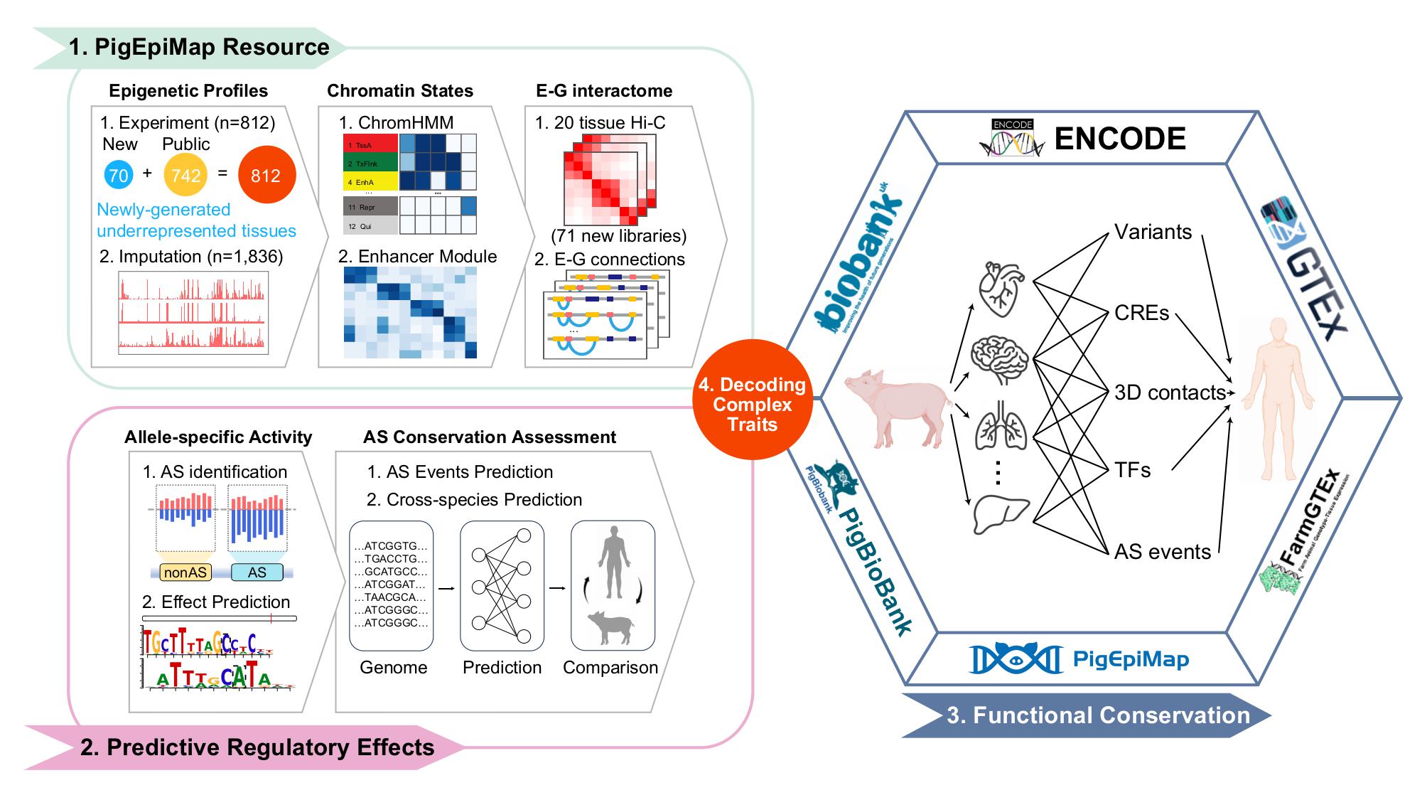 Project Overview Visualization